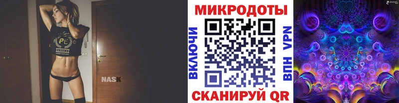 Псилоцибиновые грибы Psilocybe  купить наркотики сайты  kraken ссылки  Пятигорск 