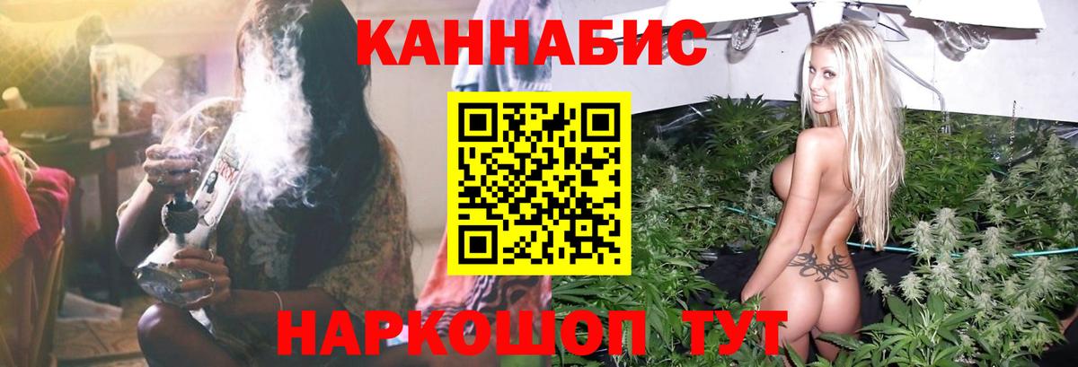Бошки марихуана Bruce Banner  Вход с VPN  Шишки марихуана план  Пятигорск  Марихуана Bruce Banner 